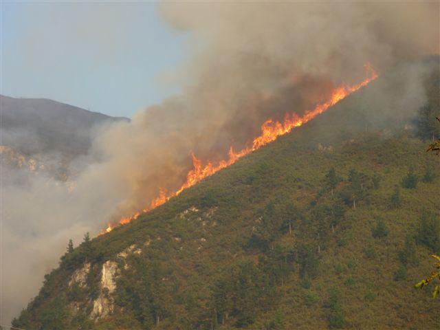 Incendio forestal pastos